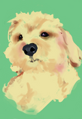 Custom Art Portrait
